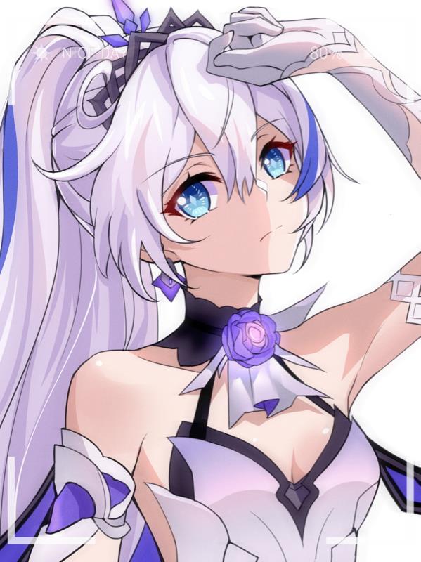 崩坏三崩坏世界的奇妙之旅